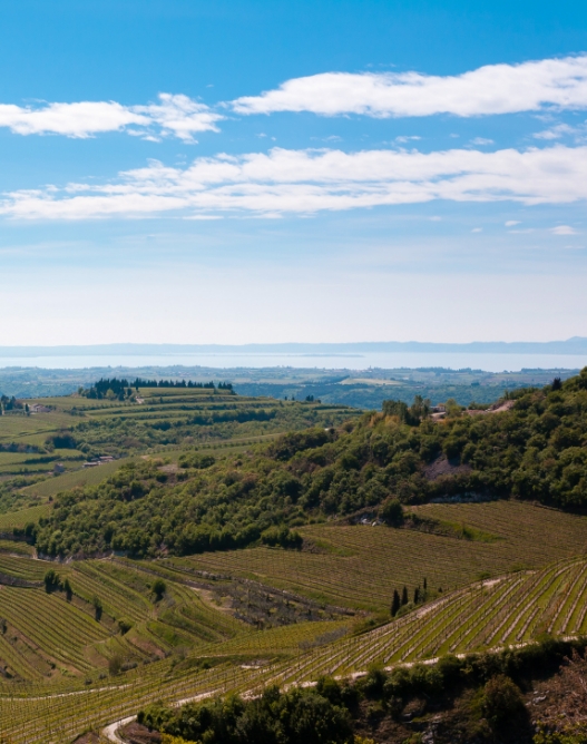 corte alta valpolicella